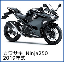 Ninja250